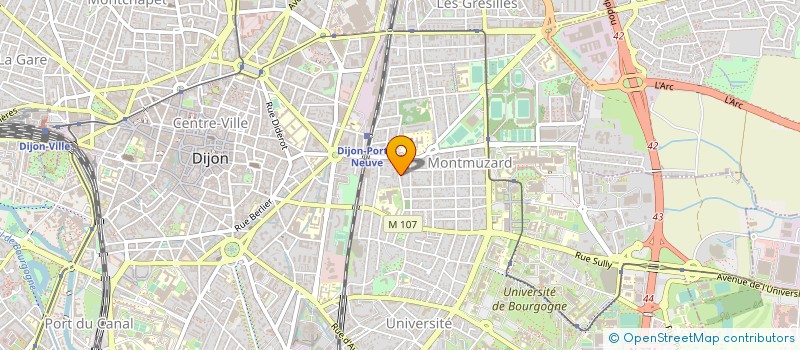 localisation de l'entreprise MADAME NICOLE BOISSON à DIJON