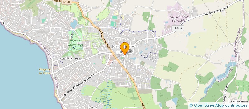 localisation de l'entreprise MADAME NICOLE BOUARD  BRETIGNOLLES-SUR-MER