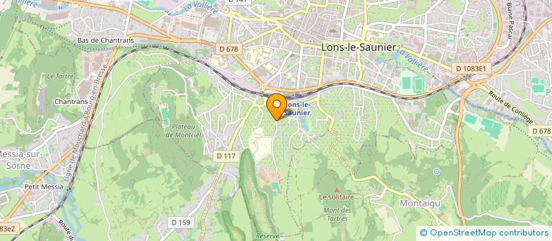 localisation de l'entreprise MADAME NICOLE BOURREAU à LONS-LE-SAUNIER