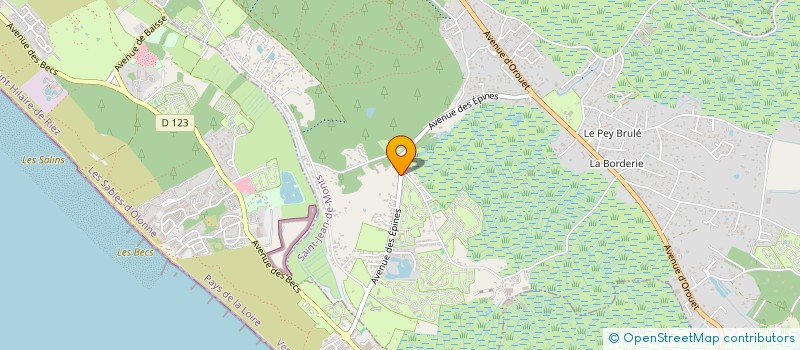 localisation de l'entreprise MADAME NICOLE BRASSET  SAINT-JEAN-DE-MONTS