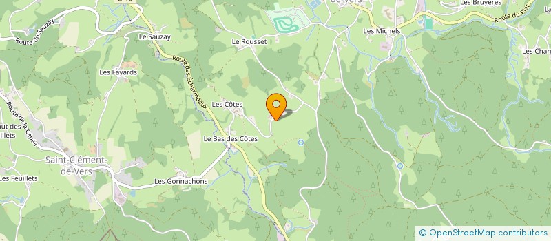 localisation de l'entreprise MADAME NICOLE BRIDAY  SAINT IGNY DE VERS