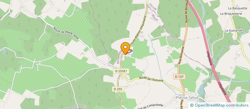 localisation de l'entreprise MADAME NICOLE BRIFFAUD  PLEINE-SELVE