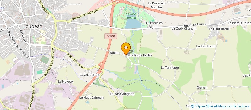 localisation de l'entreprise MADAME NICOLE BROSSY à LOUDEAC