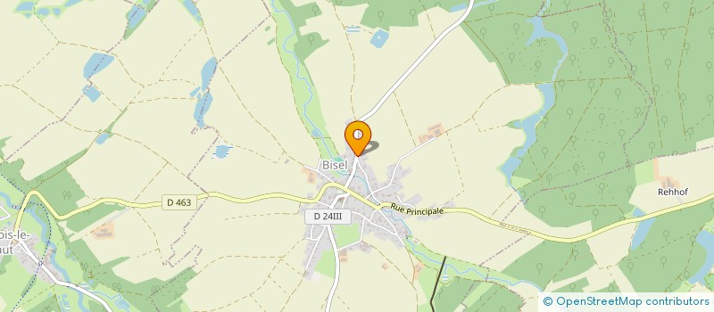 localisation de l'entreprise MADAME NICOLE BURTSCHY  BISEL