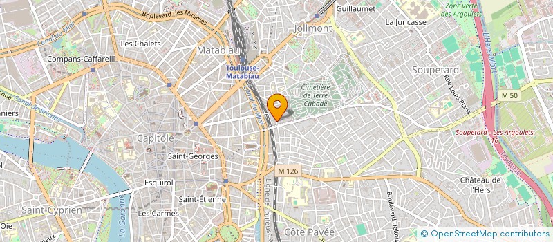 localisation de l'entreprise MADAME NICOLE CASTEX  TOULOUSE