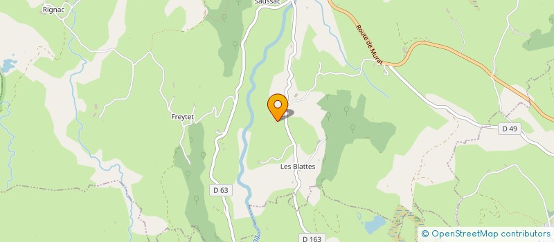 localisation de l'entreprise MADAME NICOLE CHAPPE à RIOM-ES-MONTAGNES