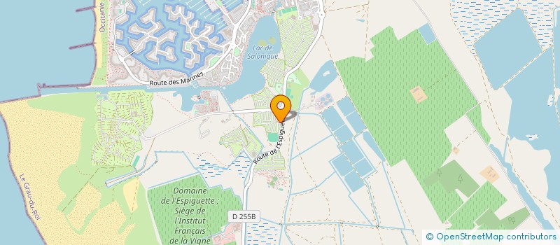 localisation de l'entreprise MADAME NICOLE CHASTEL  LE GRAU-DU-ROI