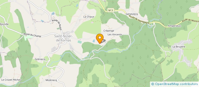 localisation de l'entreprise MADAME NICOLE CHATAIN  SAINT-NIZIER-DE-FORNAS