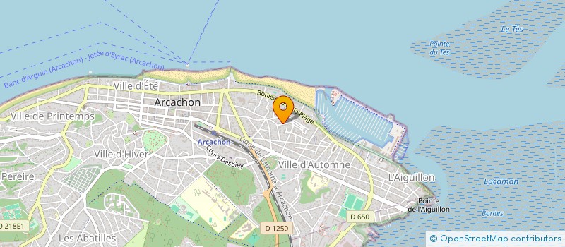 localisation de l'entreprise MADAME NICOLE COUTANCEAU  ARCACHON