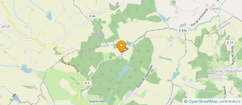 localisation de l'entreprise MADAME NICOLE DELPONT  LAREOLE