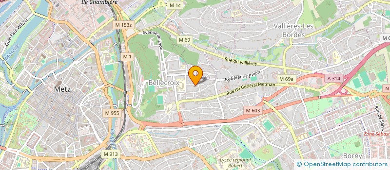 localisation de l'entreprise MADAME NICOLE DIESLER  METZ