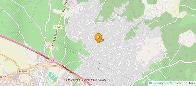 localisation de l'entreprise MADAME NICOLE DOMINICI  SAINT-MAXIMIN-LA-SAINTE-BAUME