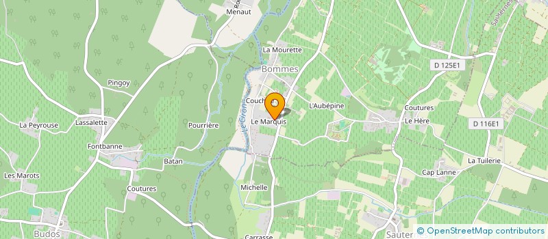 localisation de l'entreprise MADAME NICOLE DUPRAT  LANGON