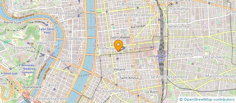 localisation de l'entreprise MADAME NICOLE FLANDIN  LYON