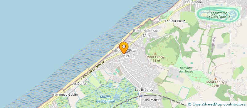 localisation de l'entreprise MADAME NICOLE GILLES  BLONVILLE-SUR-MER