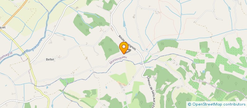 localisation de l'entreprise MADAME NICOLE GRANIER  MONTESQUIEU