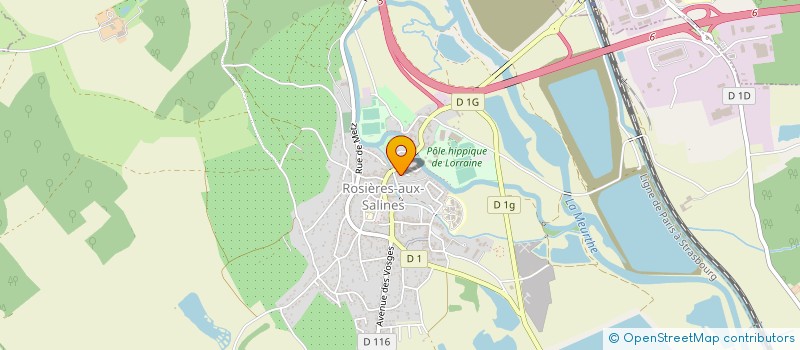 localisation de l'entreprise MADAME NICOLE HATTON  ROSIERES-AUX-SALINES