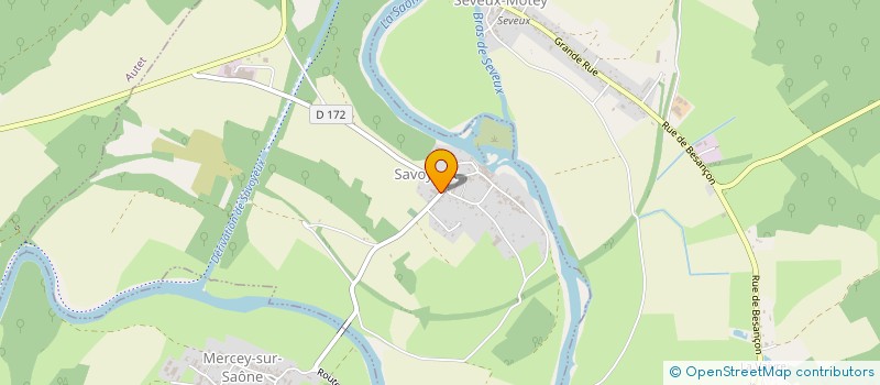 localisation de l'entreprise MADAME NICOLE JOYANDET  SAVOYEUX