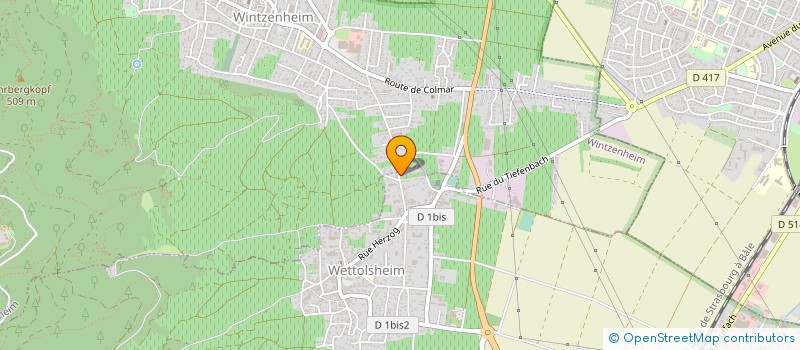 localisation de l'entreprise MADAME NICOLE LERDUNG  WETTOLSHEIM