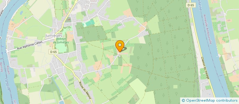 localisation de l'entreprise MADAME NICOLE LESUEUR  JUMIEGES