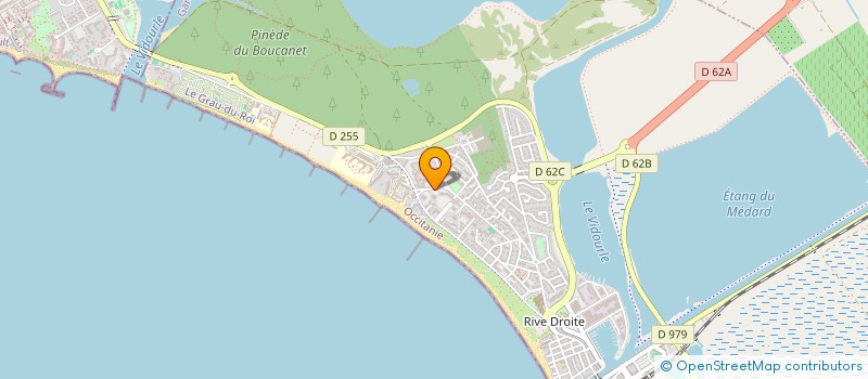 localisation de l'entreprise MADAME NICOLE LEVEAU  LE GRAU-DU-ROI