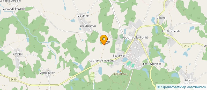 localisation de l'entreprise MADAME NICOLE LEVEQUE à COGNAC-LA-FORET