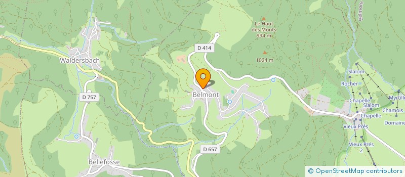 localisation de l'entreprise MADAME NICOLE LIGNEL  BELMONT