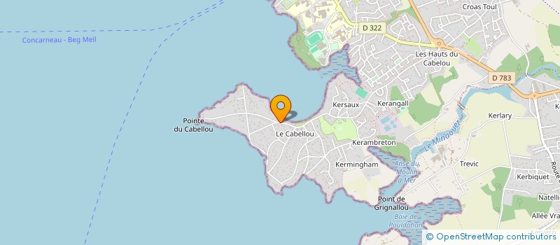 localisation de l'entreprise MADAME NICOLE LIMBOUR à CONCARNEAU