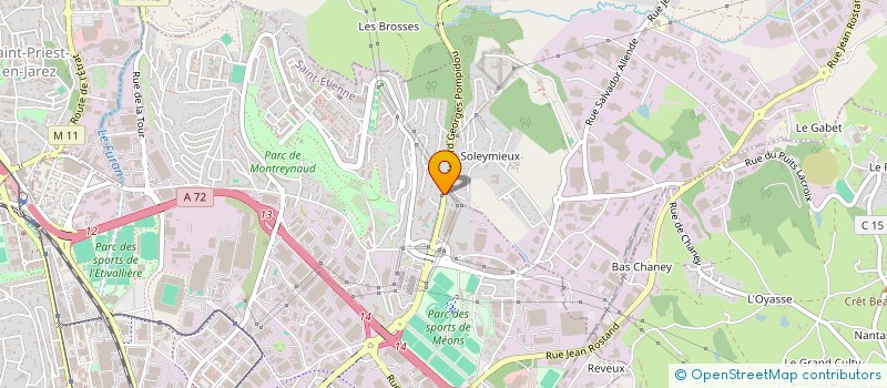 localisation de l'entreprise MADAME NICOLE LOPEZ  SAINT-ETIENNE