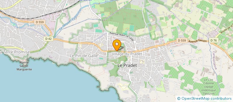 localisation de l'entreprise MADAME NICOLE MARTINENQ  LE PRADET