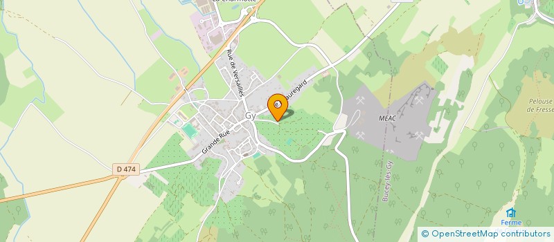 localisation de l'entreprise MADAME NICOLE MASSON  GY