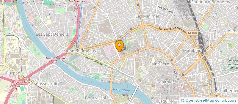 localisation de l'entreprise MADAME NICOLE MATHIEU à TOULOUSE