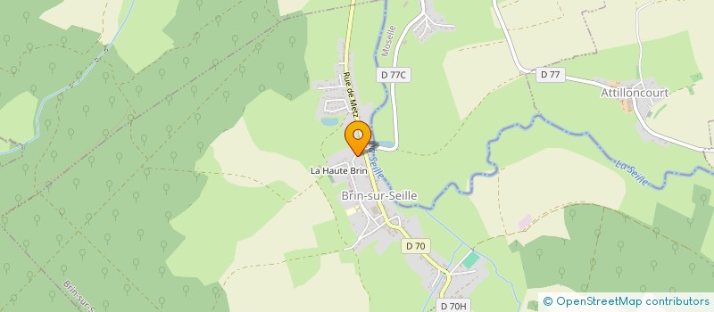 localisation de l'entreprise MADAME NICOLE MAUVAIS à BRIN-SUR-SEILLE