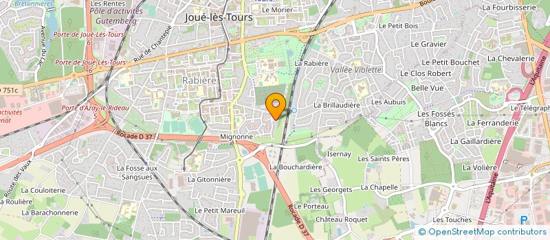 localisation de l'entreprise MADAME NICOLE MEGANG à JOUE-LES-TOURS