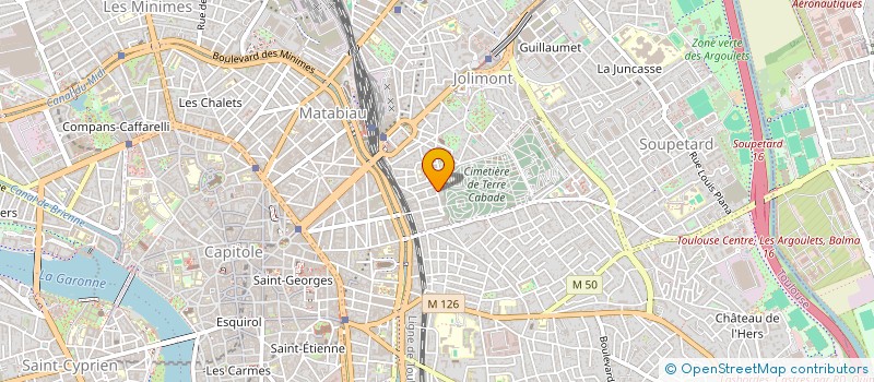 localisation de l'entreprise MADAME NICOLE MIOTTO  TOULOUSE