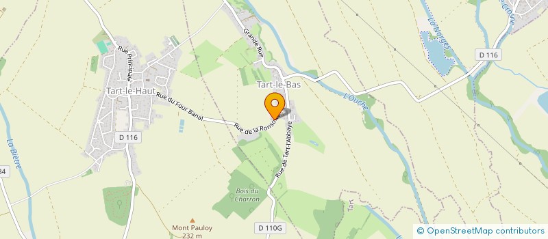 localisation de l'entreprise MADAME NICOLE MONTANGERAND  TART-LE-BAS