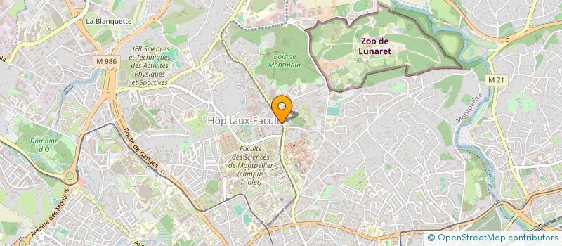 localisation de l'entreprise MADAME NICOLE NOVI à MONTPELLIER