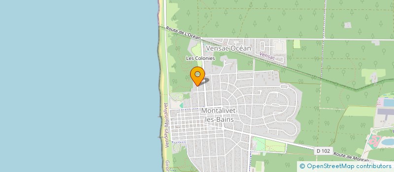 localisation de l'entreprise MADAME NICOLE OBUSZAK  VENDAYS-MONTALIVET