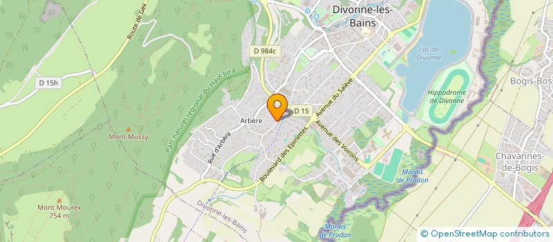 localisation de l'entreprise MADAME NICOLE OHANA à DIVONNE-LES-BAINS