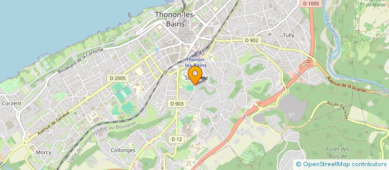 localisation de l'entreprise MADAME NICOLE PITTET à THONON-LES-BAINS