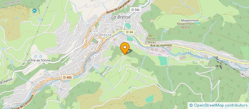 localisation de l'entreprise MADAME NICOLE POIROT  LA BRESSE