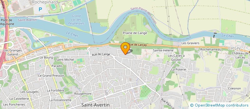 localisation de l'entreprise MADAME NICOLE REVOLON  SAINT-AVERTIN