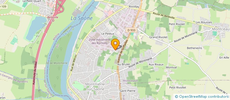 localisation de l'entreprise MADAME NICOLE RIFFARD  MONTMERLE-SUR-SAONE