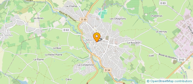 localisation de l'entreprise MADAME NICOLE RIGOT  MORNANT