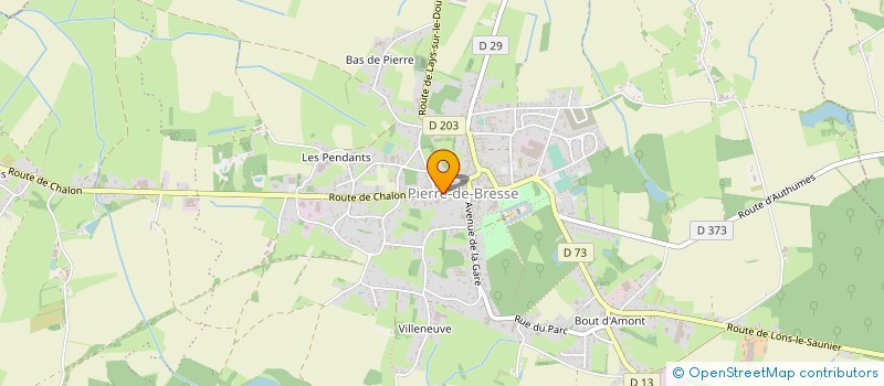 localisation de l'entreprise MADAME NICOLE RUET à PIERRE-DE-BRESSE