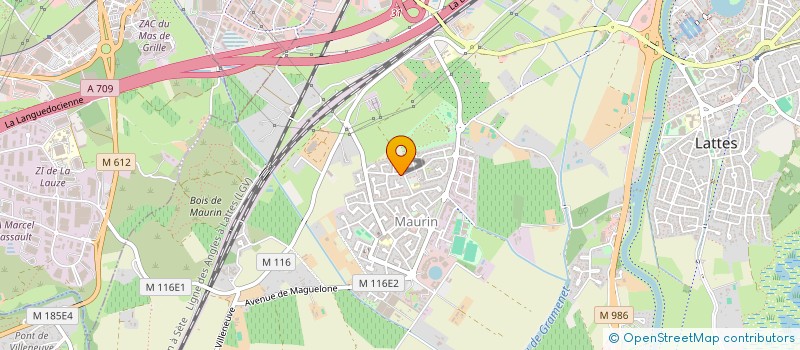 localisation de l'entreprise MADAME NICOLE SAVOISY à LATTES