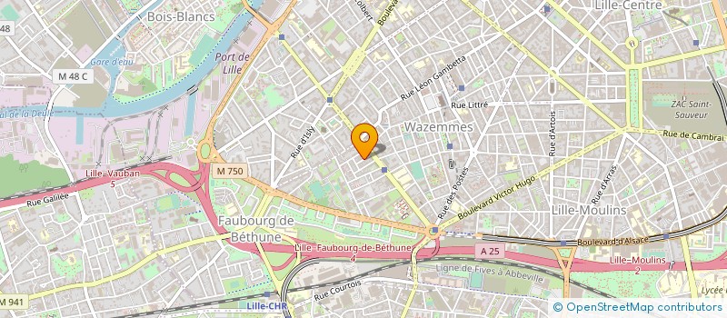 localisation de l'entreprise MADAME NICOLE SERVONNET à LILLE