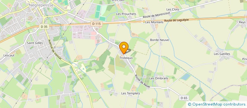 localisation de l'entreprise MADAME NICOLE SIREJOLS à NEGREPELISSE