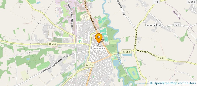 localisation de l'entreprise MADAME NICOLE SUISSE  FLEURANCE