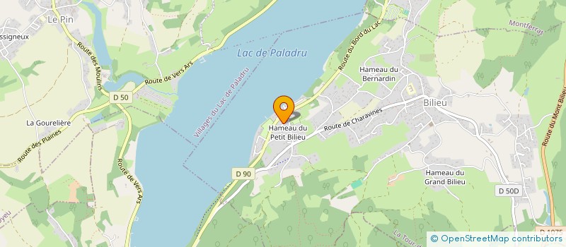 localisation de l'entreprise MADAME NICOLE TAMINI  CHARAVINES